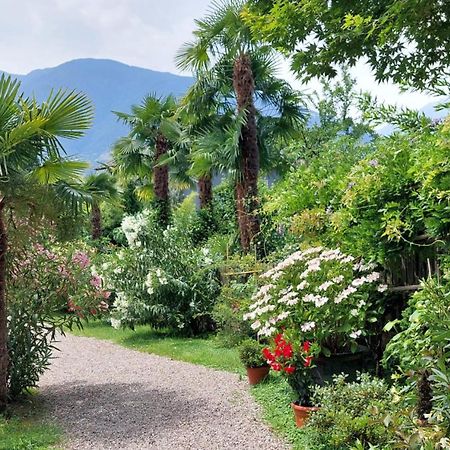 Nora S Home 5 - Panoramic Terrace & Bio Garden Meran Exterior foto